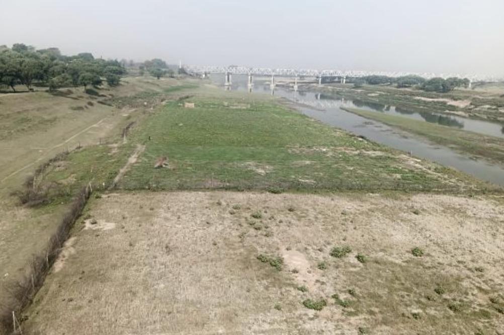 खानपुर: गंगा-गोमती की रेती पर लहलहाई खेती, किसानों के लिए बनी कमाई का नया जरिया